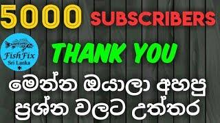 Answers For your Quections [මා සමග සිටි ඔබලාට ගොඩක් ස්තූතී] FishFix SriLanka