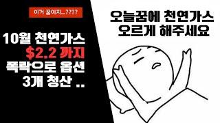 10월 천연가스 US$2.2까지 하락...폭락으로 옵션 3개 청산 ..이거 꿈이지..?