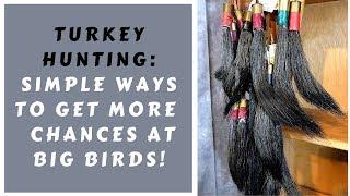 TURKEY HUNTING: IMPROVING YOUR CHANCES WITH BIG BIRDS!