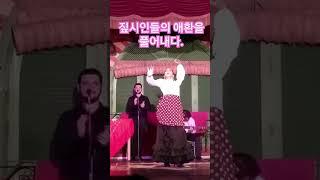 어디에도 정착할 수 없었던 짚시인들 #shorts  #마야tv  #한지공예 #스페인여행