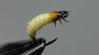 The Best Way to Tie a Limnephilidae Caddis Larva Fly