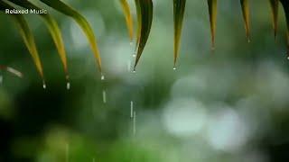 Calming Rain Sounds & Piano – Relaxing Sleep Music & Peaceful Background for Deep Meditation