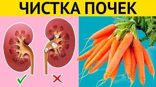 Мощное очищение и восстановление ПОЧЕК и МОЧЕВОГО ПУЗЫРЯ + Вредная еда для почек