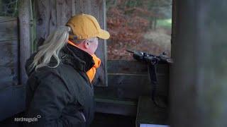 Drückjagd auf Wildschweine in Schildfeld