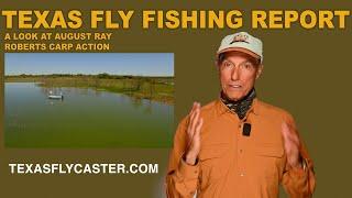 Catch Carp on Fly Now: August Fly Fishing Report for the Love of Fly Fishing