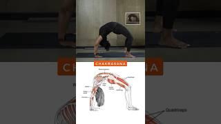 How to do Chakrasana #wheelpose #chakrasana