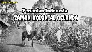 Pertanian Indonesia Zaman Kolonial Belanda | Sejarah Pertanian Indonesia