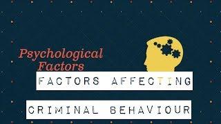 Factors affecting criminal behaviour