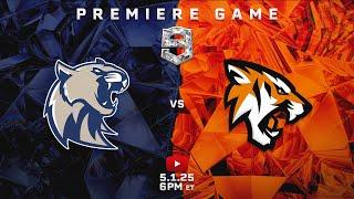 Madden 25: Cougars vs Tigers Week 16, RFL Season 9 | Teambuilder Franchise!