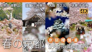 CC English subtitles）Kyoto in Spring Keihan Cherry Blossoms