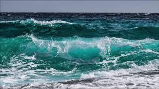 Sounds of Nature - waves of the ocean with cries of seagulls