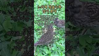 따뜻한 말 삶의 지혜 감성적인 글귀를 통해  지친 마음에 작은 위로가 되어드리고자 합니다