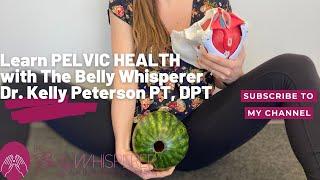 Pelvic Health Recorded LIVE by The Belly Whisperer Dr. Kelly Peterson PT, DPT