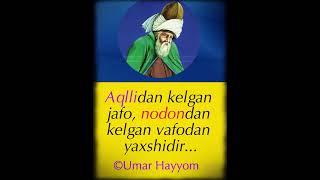 Aqllidan kelgan jafo #rumiy #hikmatlidunyo #motivation #aforizmlar #faktlar #namoz