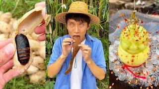 Have you ever eaten hairy eggs?|Chinese Mountain Forest Life and Food #TikTok#FYP