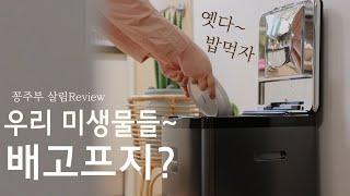 음식물쓰레기를 먹고 자라는 우리집 미생물 이야기 feat.꽁주부 살림리뷰