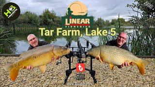 288 Linear Fisheries, Tar Farm Lake 5