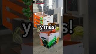 Máquina para fabricar cajas de cartón, cajas de pizza, cajas para frutas