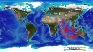 Tsunami Preparedness: Applying Lessons from the Past