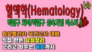 임상병리 국가고시 혈액학(Hematology) 적혈구 과정 마스터!!