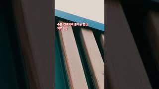 수출 컨테이너 놀라운 변신 외벽마감