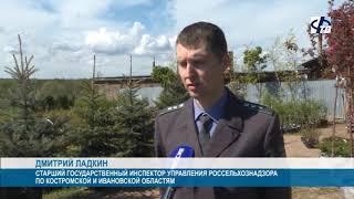 2 06 2020  Фурманов ТВ