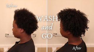 One Product Wash and Go on Short Natural Hair