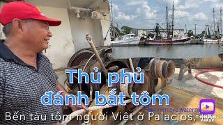 Thủ phủ đánh bắt tôm ở Mỹ - Palacios, Texas | Hơn 400 tàu sắt 4-5 triệu đô của người Việt -revised