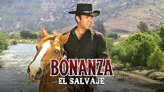 Recopilación Bonanza | Temporada 06 Capitulo 3+4 | El Salvaje | Capítulo Completoa