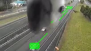 When a Bird Ruins Your Traffic Survey :) - GoodVision Video Insight