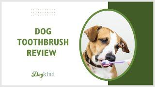 Dog Toothbrush Review