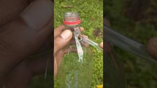 Smart idea from a plastic bottle and a hose! #diy #lifehack #ideas