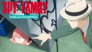 ¡Nada de aventuras, debes estudiar! | SPY x FAMILY (doblaje en español)