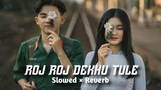 roj roj dekhu tule ahirani song | slowed × reverb | रोज रोज देखु तुले