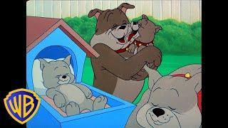 Tom & Jerry | The Best Doggy Dad Ever  | Father's Day | Classic Cartoon Compilation | @wbkids​