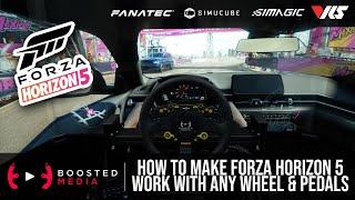 Get Forza Horizon 5 Working with ANY WHEEL & PEDALS