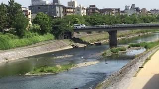 京都四条大橋の上から見た川辺 River from Kyoto Shijo Big Bridge