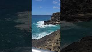 Current point of view #travel #hawaii #waves