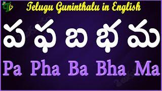 Pa Pha Ba Bha Ma Guninthalu English | How to write ప ఫ బ భ మ Guninthalu English |Learn #Guninthalu