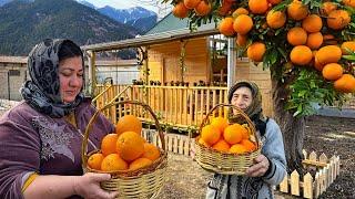 MAKING ORANGE JAM - COUNTRY LIFE WITH GRANDMA!