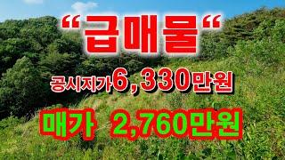 [1185][급매물][땅매매] 공시지가의 절반가격도 안되는 아주 싼 급매물입니다.