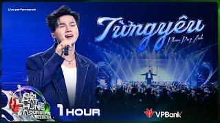 [1 Hour] Từng Yêu - Phan Duy Anh | Our Song Việt Nam