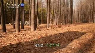 'EBS 하나뿐인 지구' 냉장고 없이 일주일 살아보기