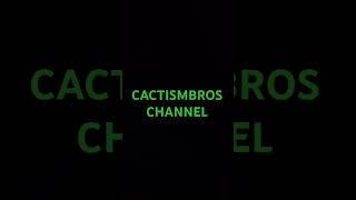 New Channel with the Cactism Bros