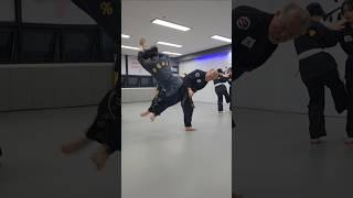 Windmill Spinning Kick Knock Down #GongkwonYusul