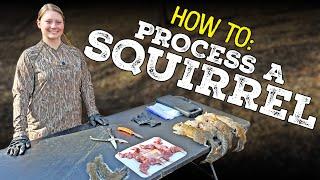 How To Process a Squirrel - With Becky Bloomfield