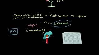 ELISA | Biotechnology and its Applications | Biology | Khan Academy