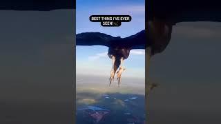 Golden Eagle Sits on Paraglider Midflight