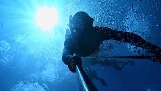 Vortex Springs Freediving