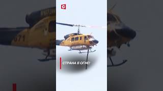 Страна в огне: пожар вышел из-под контроля! Чрезвычайная ситуация в Австралии #shorts